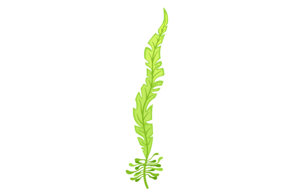 Marine Floral Element. Green Sea Bottom